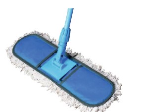Paras Dry mop 18