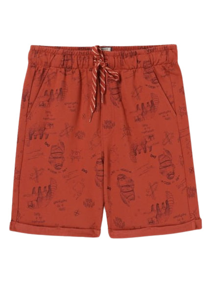 Boy's Super Combed Cotton French Terry Printed Shorts with Pockets and Turn Up Hem Styling - Cinnabar Assorted Prints