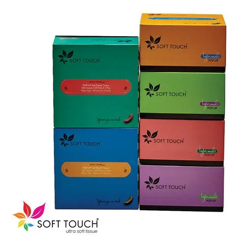 Soft Touch Facial Tissue - 2 Ply, 100 pcs (Pack of 6)