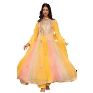 Divena Yellow Gota Patti Embroidered Banarsi Georgette Kurta Set with Organza Dupatta