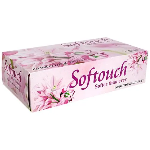 Softouch Faical Tissues - 2 Ply, 1 pc (100 Pulls)