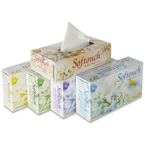 Softouch Facial Tissues - 2 Ply, 100 pcs (Pack of 5)