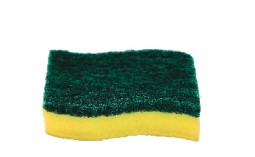 Paras scrub pad with sponge