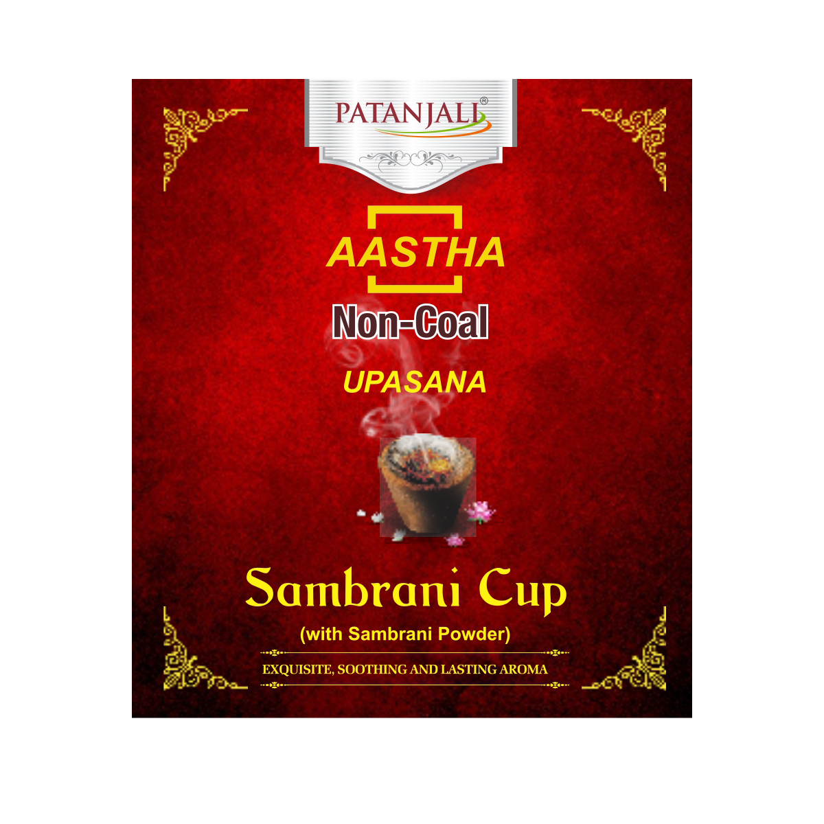 Patanjali  Aastha Sambrani Cup