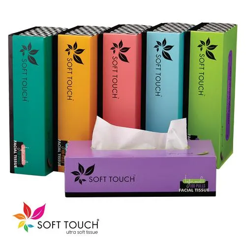 Soft Touch Facial Tissue - 2 Ply, 1 pc (200 Sheets)
