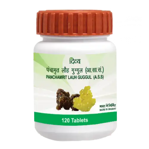 Patanjali Panchamrit Lauh Guggul 120 Tabs