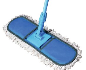 Paras Dry mop 24
