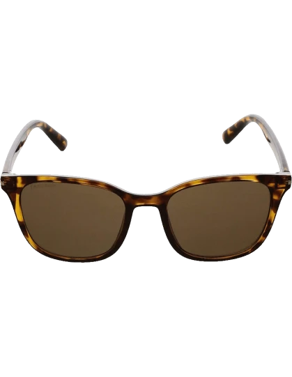 Fastrack Brown Square Sunglasses P418BR2V