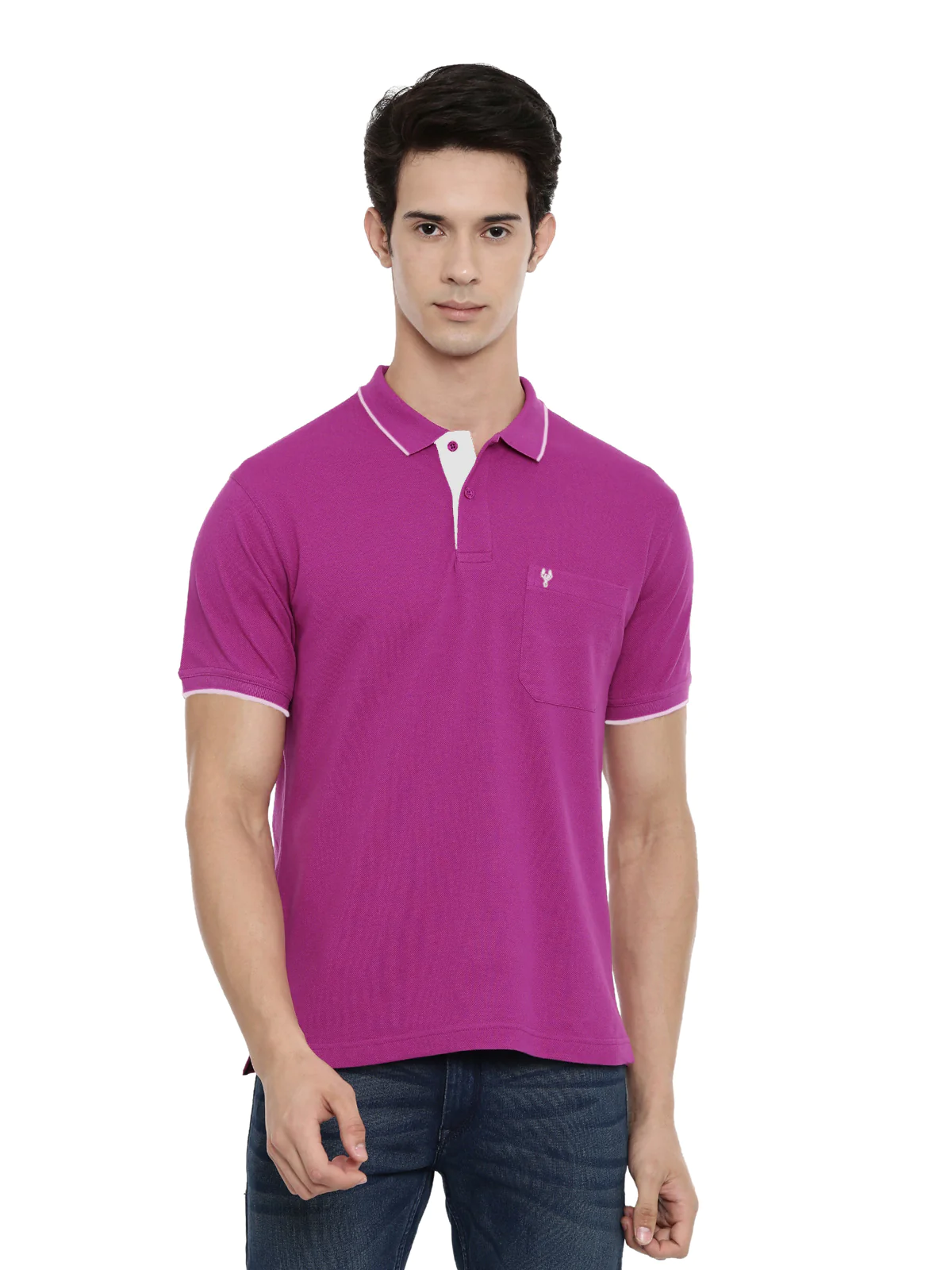 T-shirt Classic Polo Men's Purple Solid Polo Authentic Fit T-Shirt | 4SSN 218