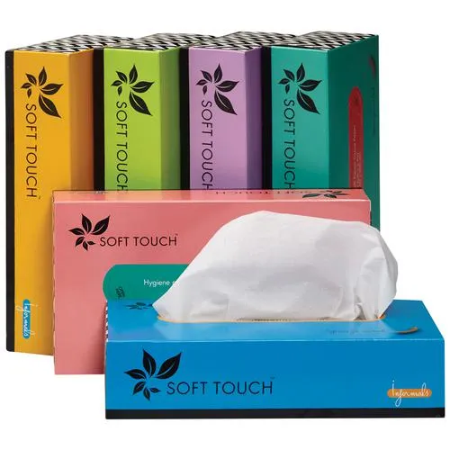 Soft Touch Facial-Tissue - 2 Ply, 100 pcs (Pack of 6)