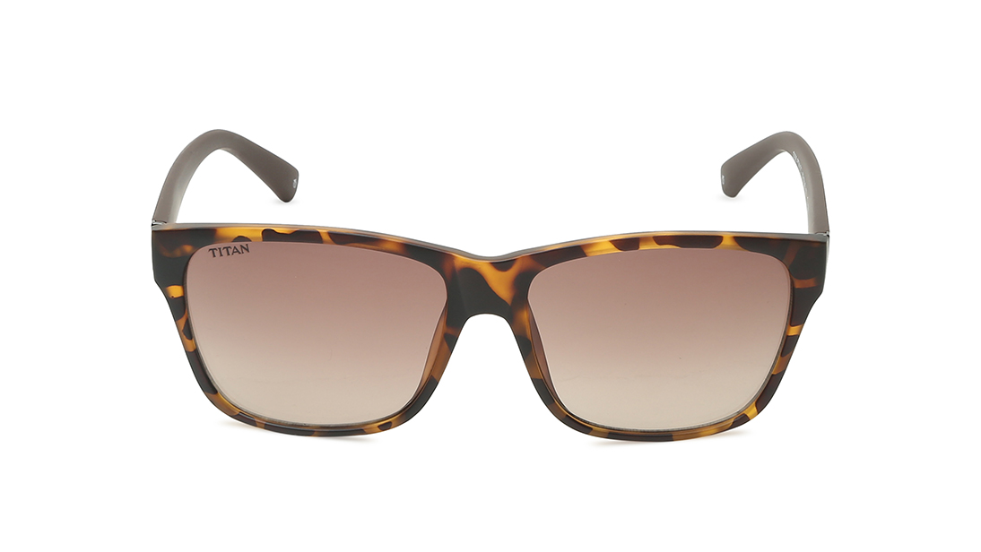 Titan Brown Square Sunglasses for Men G236PTMLTCV